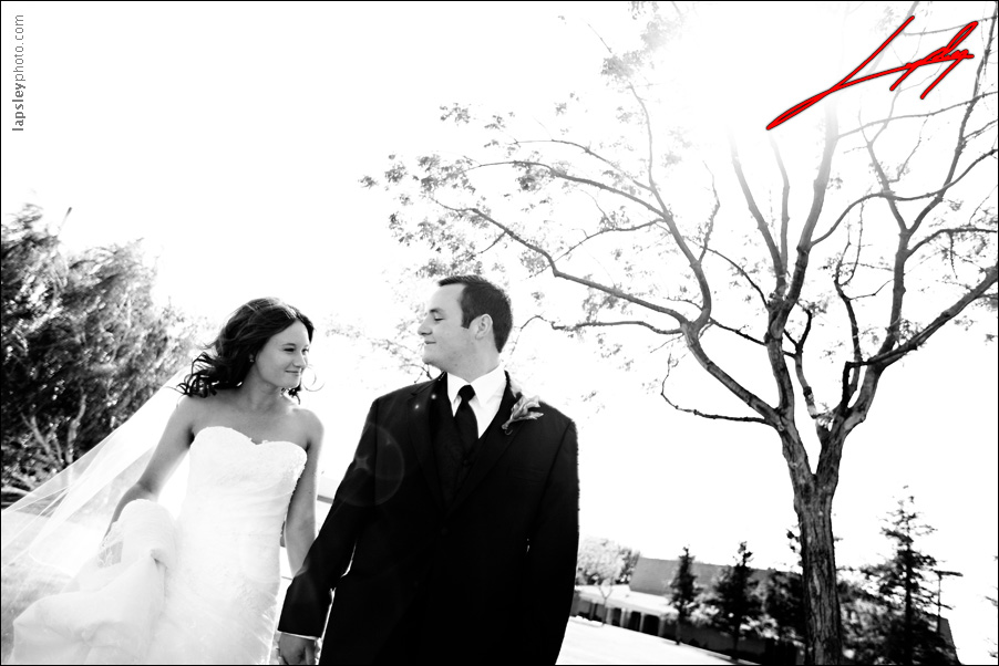 lodi california wedding photographer6